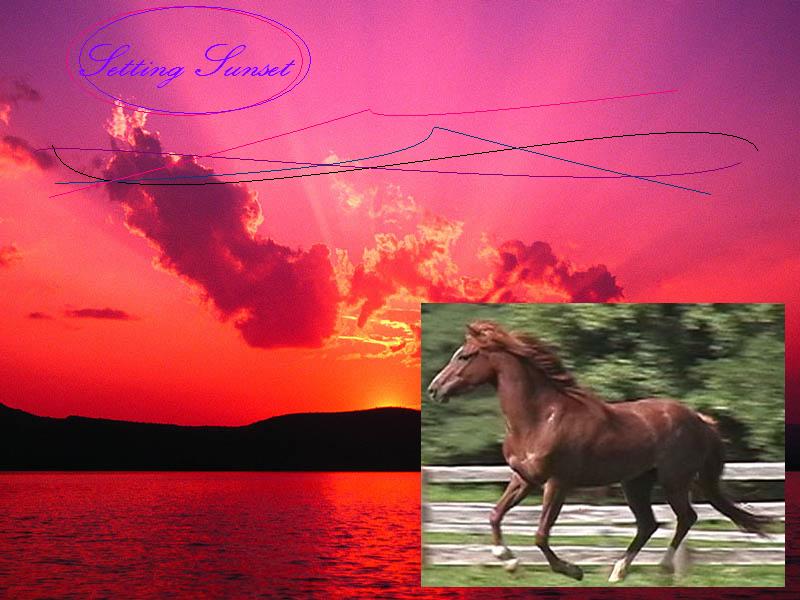 Florence, KY baseball fans photo, picture, image (Kentucky) at city