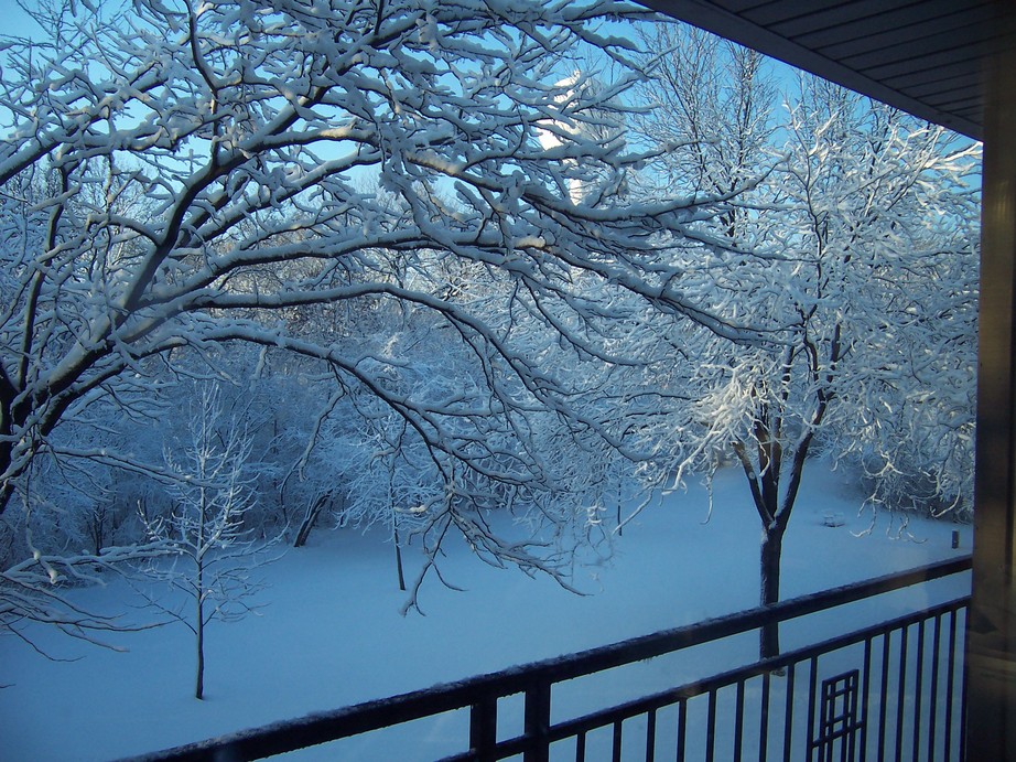 Lisle, IL: Four Lakes Ski Resort; Looking out my 3rd floor Condo