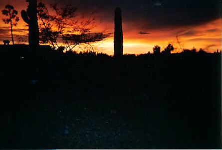 Wickenburg, AZ: Out my backdoor in Country Club Estates in Wickenburg