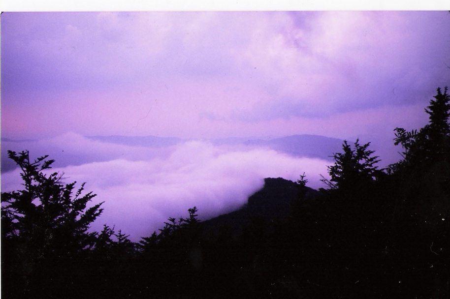 Roan Mountain, TN ROAN MOUNTAIN FOG ROLLING IN photo, picture, image