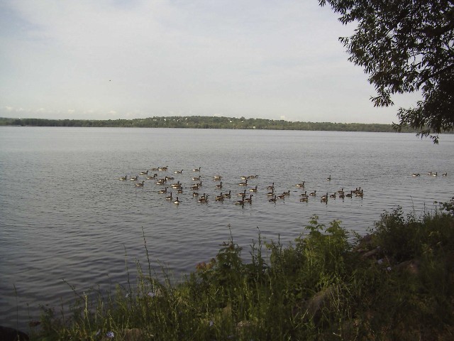 Syracuse, NY: Onondaga Lake
