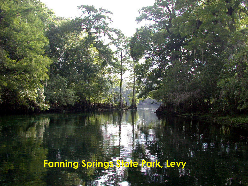 Fanning Springs, FL: Fanning Spring State Park