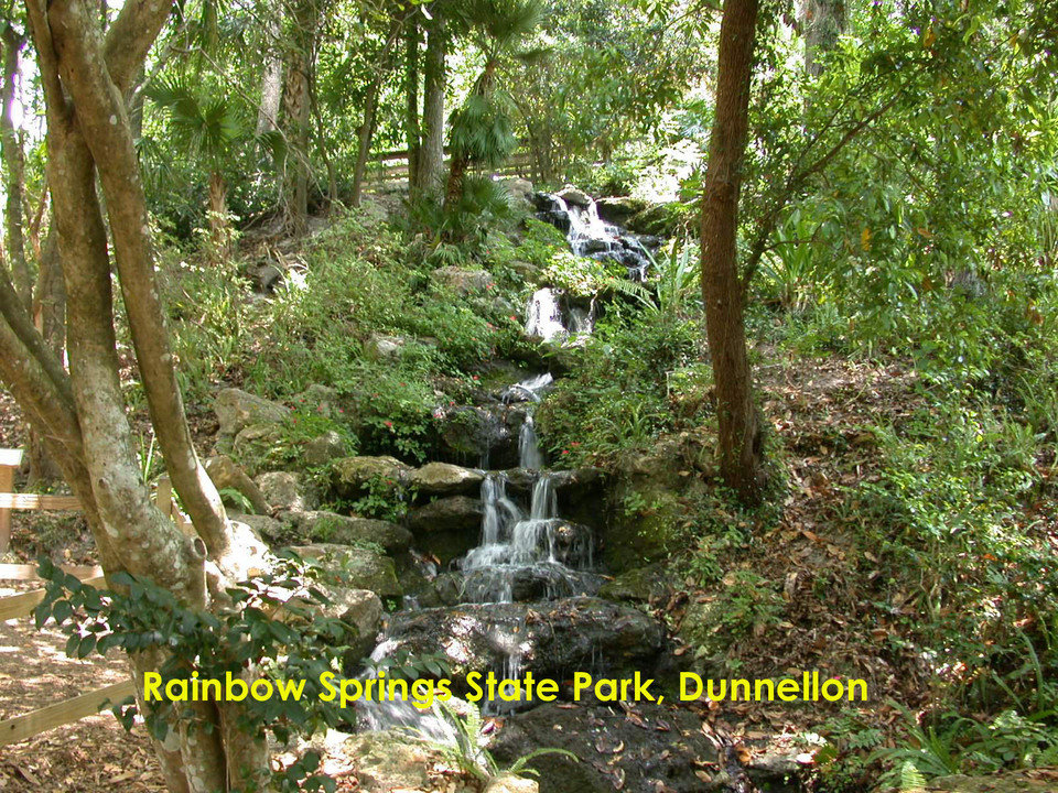 Dunnellon, FL: Rainbow Springs State Park waterfall