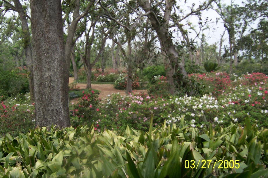 Lake Wales, FL: Bok Tower Gardens