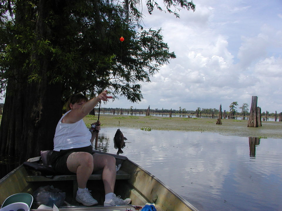 Henderson, LA: My wife Trina's first fishing trip in a boat, went to Henderson, nice July 4th bream!!