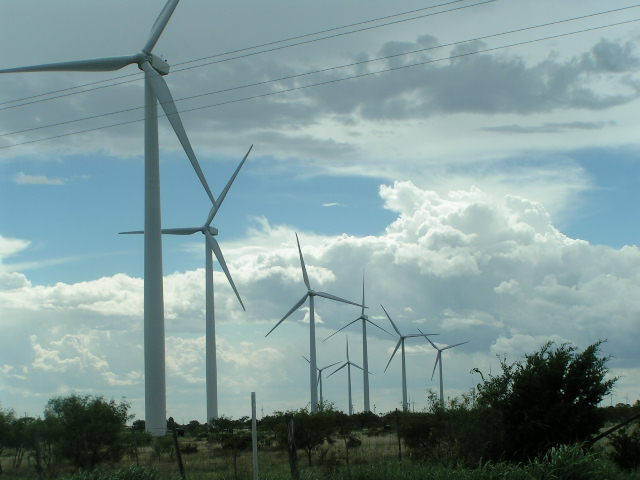 Abilene, TX: Windfarm - north of Abilene