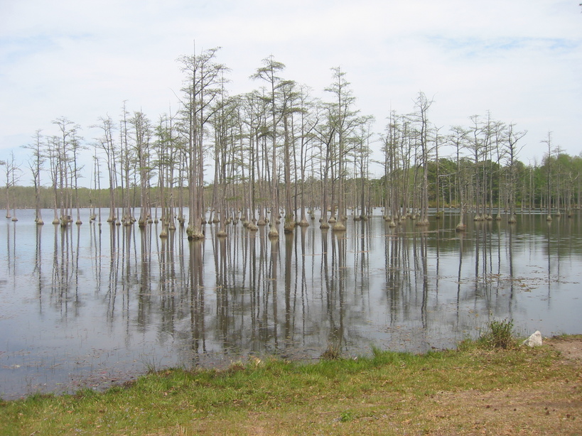 Camden, SC: State Park in Camden, SC