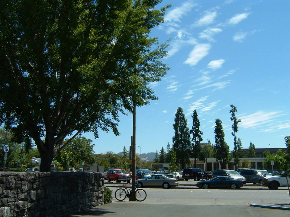 Santa Rosa, CA: Third Street Santa Rosa
