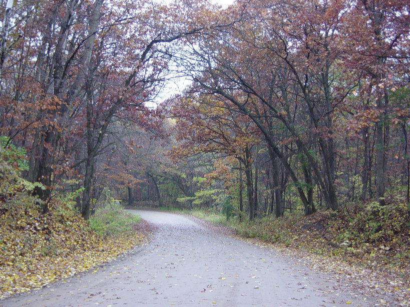 Somerset, WI: Oak canopied road along St Croix River that leads to historic river crossing.