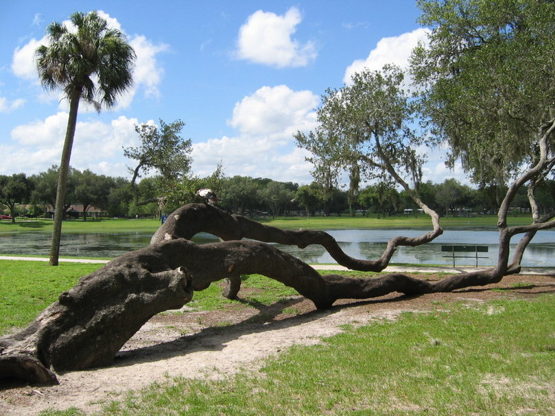 Zephyrhills, FL: View of Zephyr Park in Zephyrhills, FL
