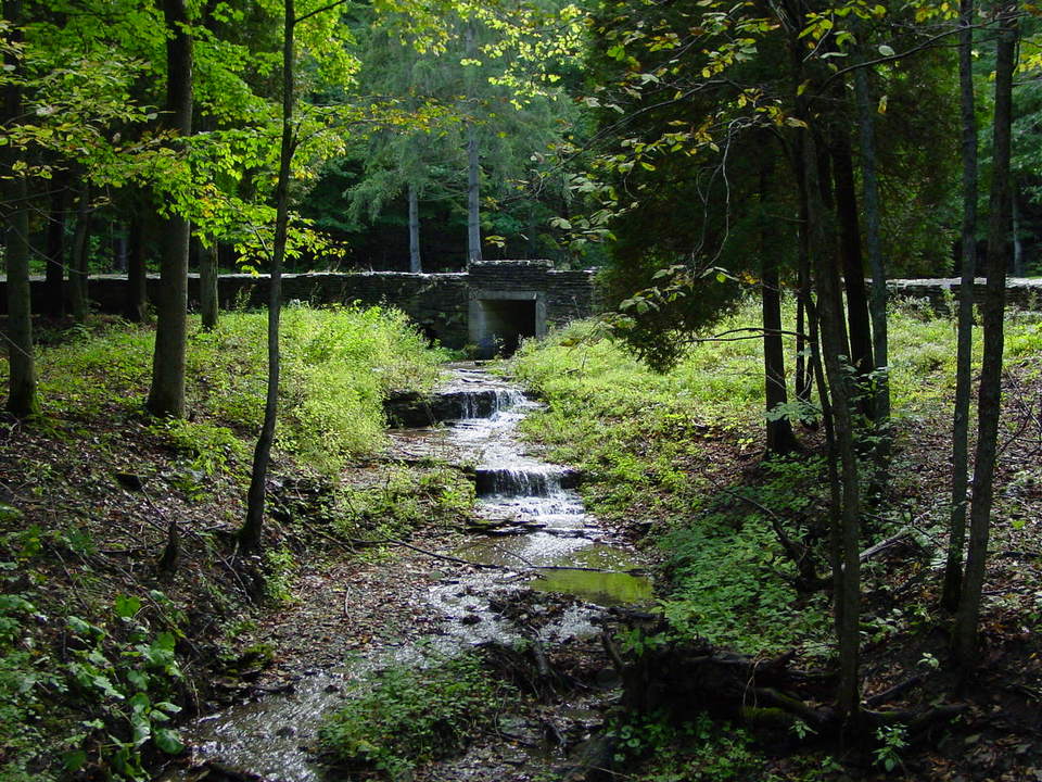 Pompey, NY: Pratt's Falls Culvert