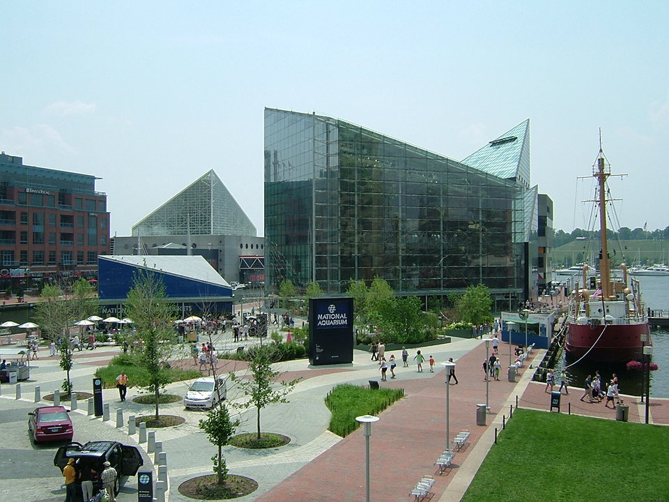 Baltimore, MD: National Aquarium