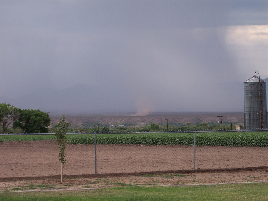 Pima, AZ: Dust dev il in monsoon storm over Pima