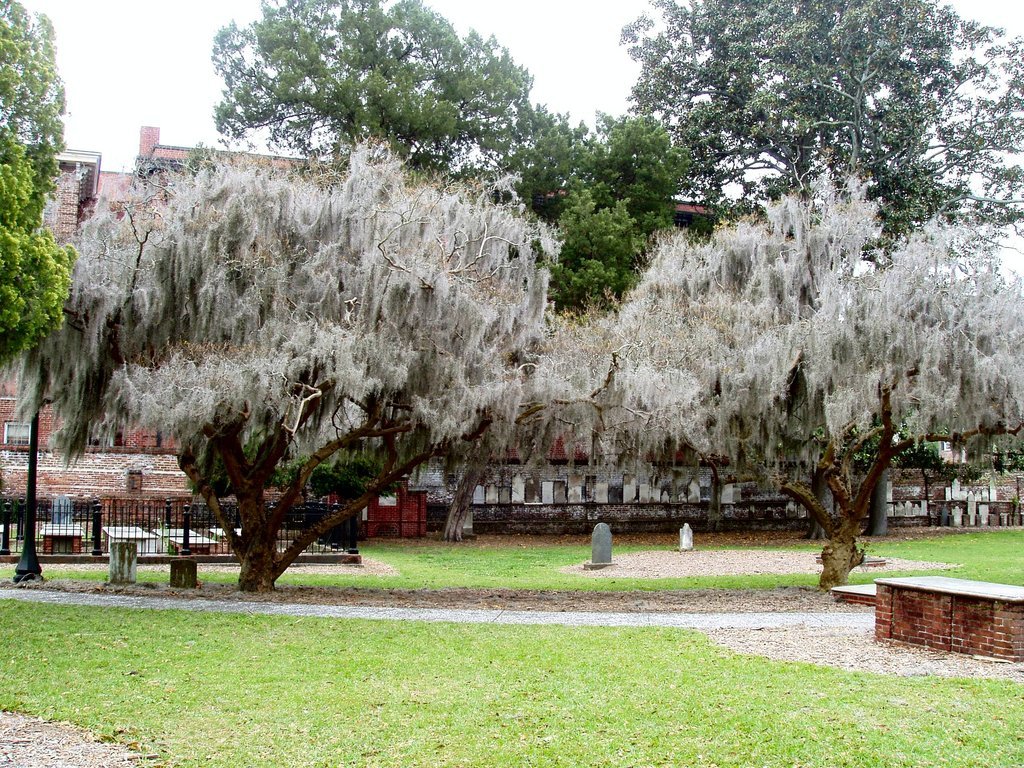 Savannah, GA: Savannah, GA - Colonial Cemetery