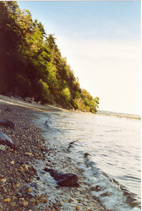 Fox Island, WA: Pretty shoreline in Fox Island