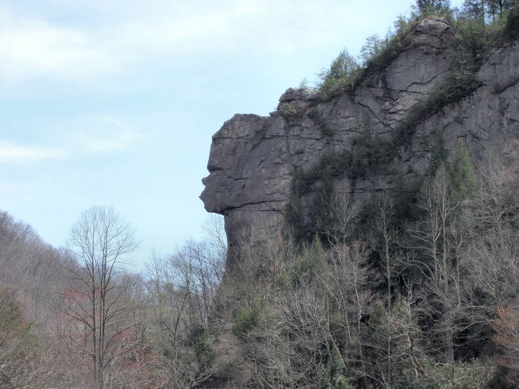 Pennington Gap, VA: Pennington Gap, VA - Old Stone Face