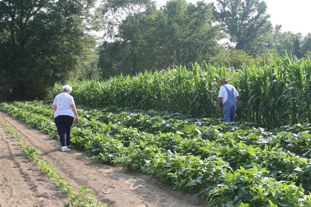 Pinson, AL: A small farmer and his wife check their Summer crop in Pinson, AL