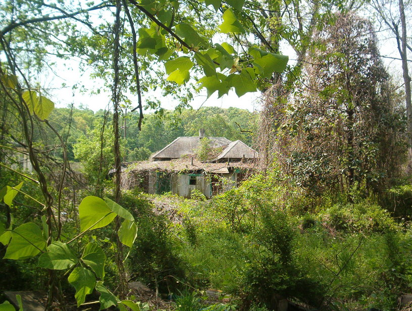 Atlanta, GA: Abandoned House in Urban Atlanta Neighborhood