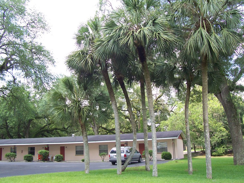 Mayo, FL Cindy,s Motel Mayo Florida photo, picture, image (Florida