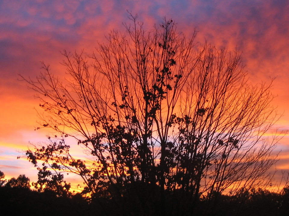 Burke, VA Lake Braddock Sunrise(2) photo, picture, image (Virginia) at