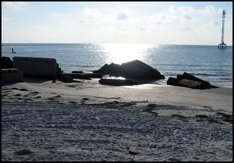 St. Petersburg, FL: Fort De Soto Park