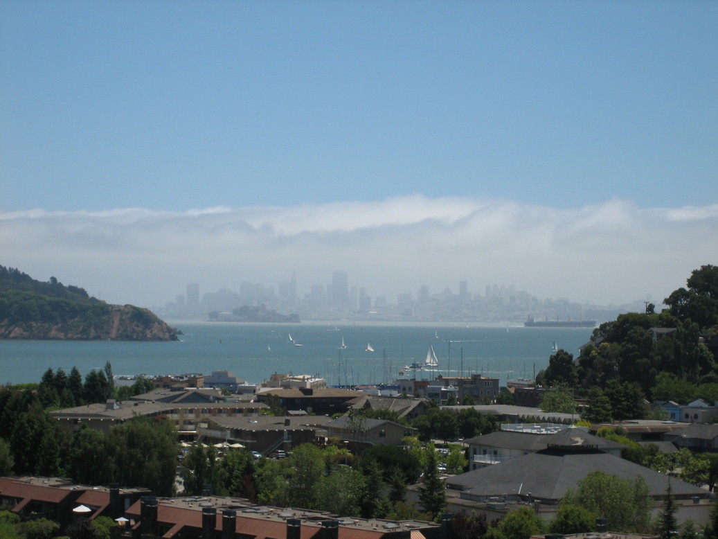 Tiburon, CA: View of San Francisco in July Fog