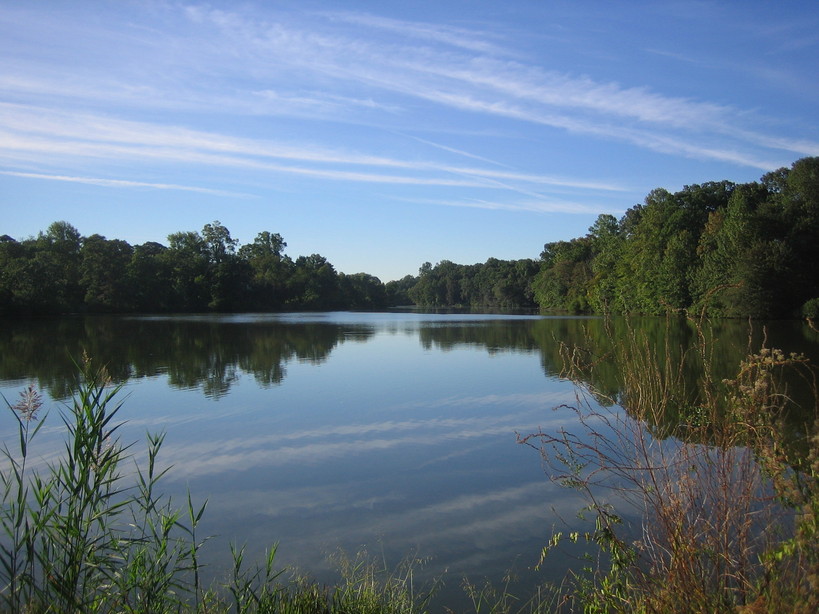 Pitman, NJ: Pitman Alcyon Lake reflection