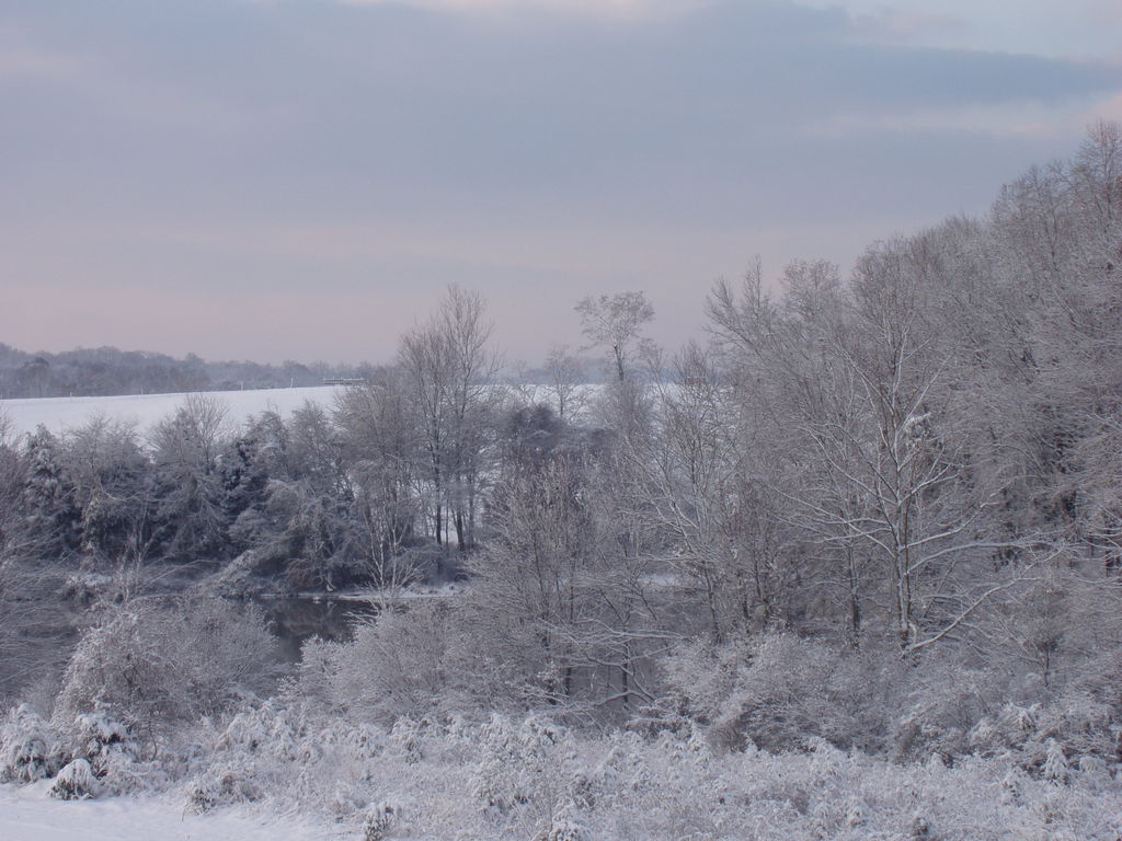 Culpeper, VA: Lake Pelham's 1st snowfall of 2006