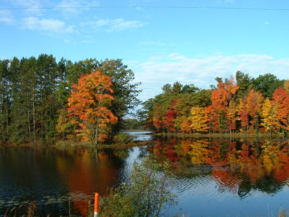 Shell Lake, WI: fall colors shell lake wi
