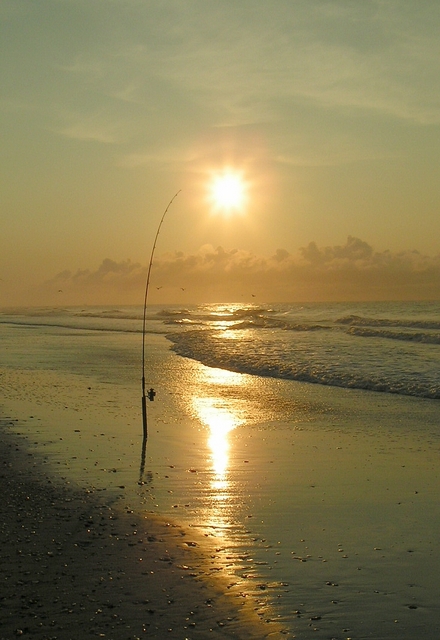 North Topsail Beach, NC: Catch of the Day