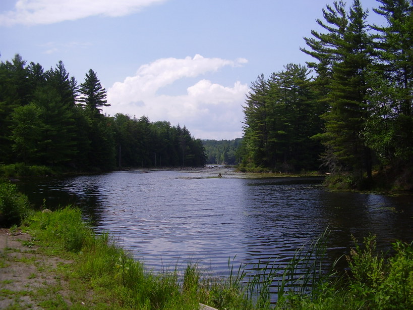 Minerva, NY: Downtown Minerva is seen to the right.