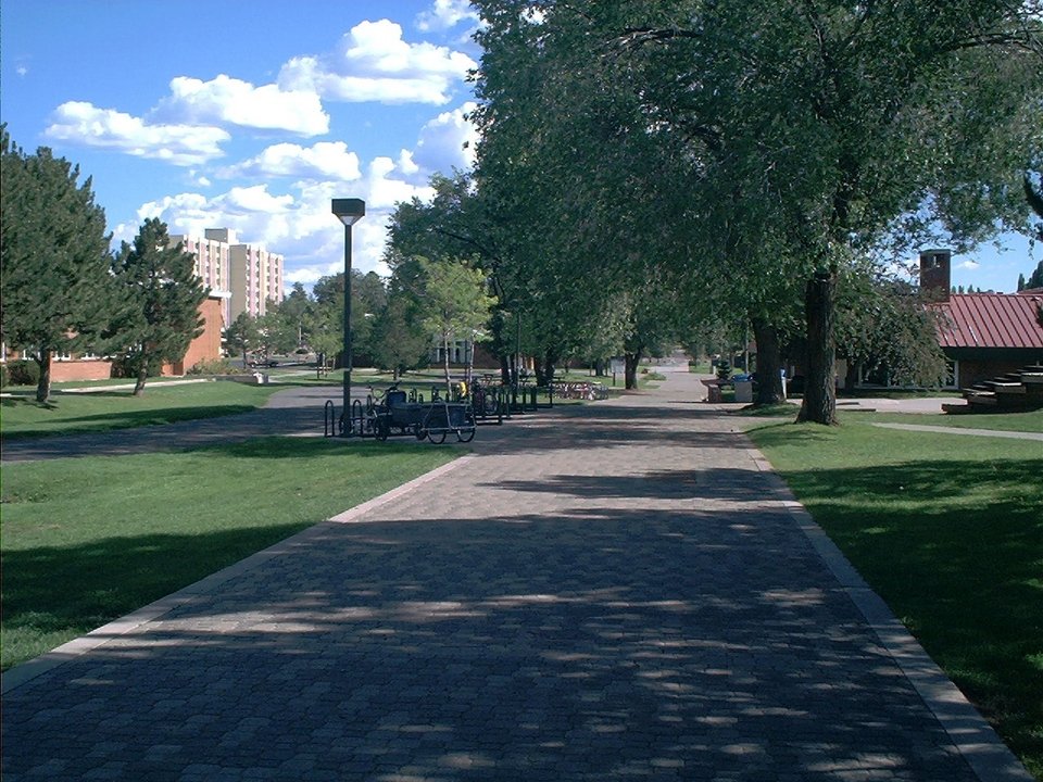 Flagstaff, AZ: central campus of NAU in Flagstaff