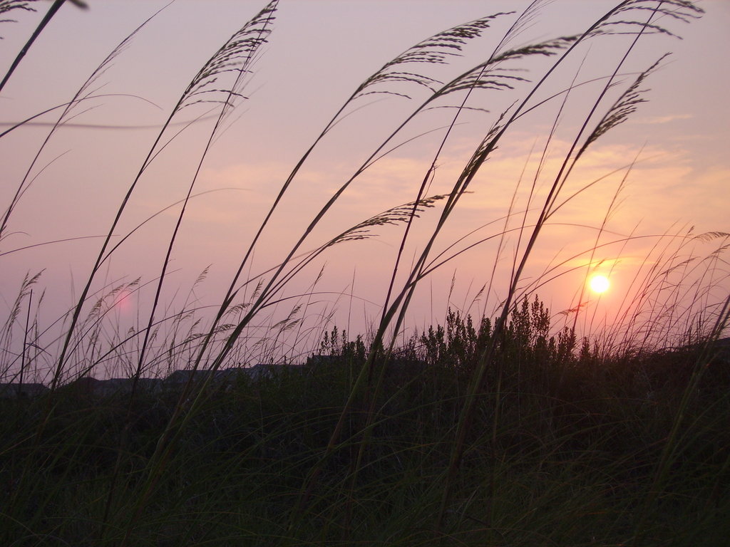 Sunset Beach, NC: Sunset and the dunes