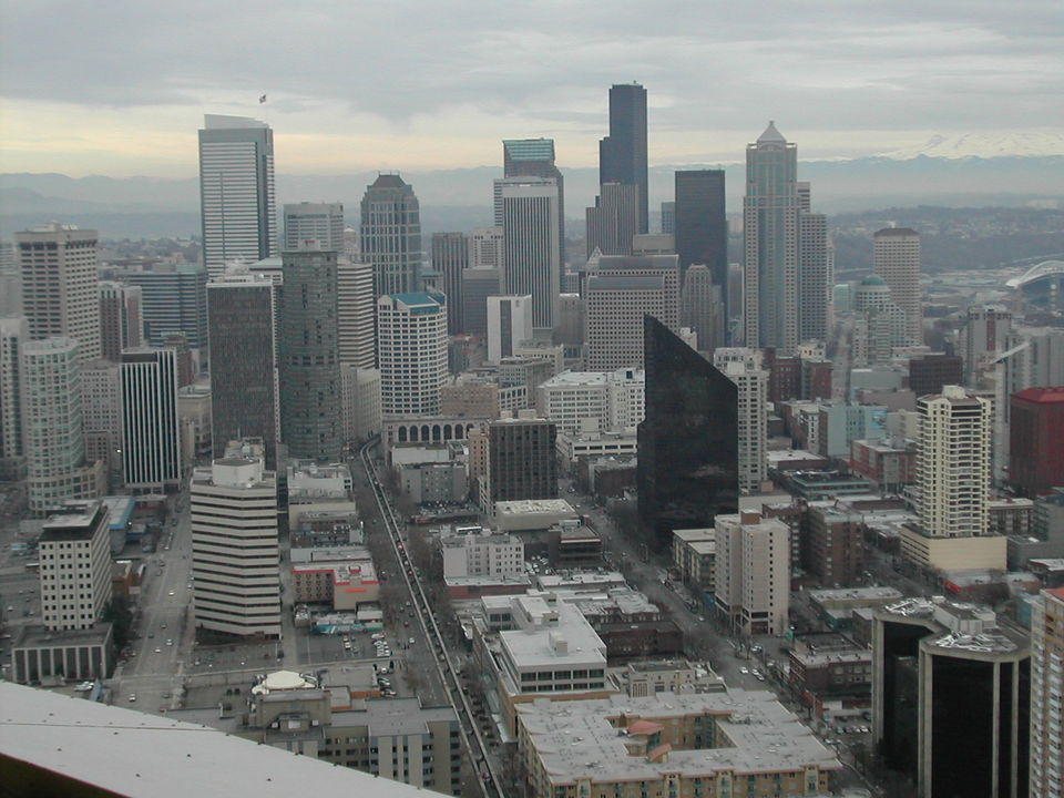 Seattle, WA: View of Downtown from Space Neadle