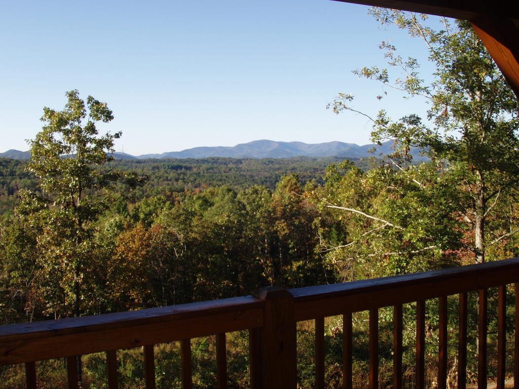 Morganton, GA: My friend's view from her cabin in Morganton, GA