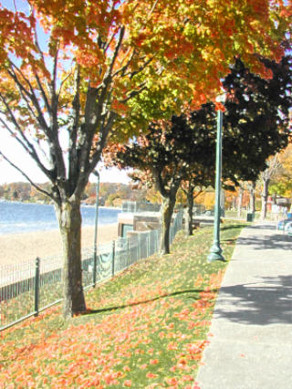 Lake Geneva, WI: Autumn Along Wrigley Drive, Lake Geneva, Wisconsin