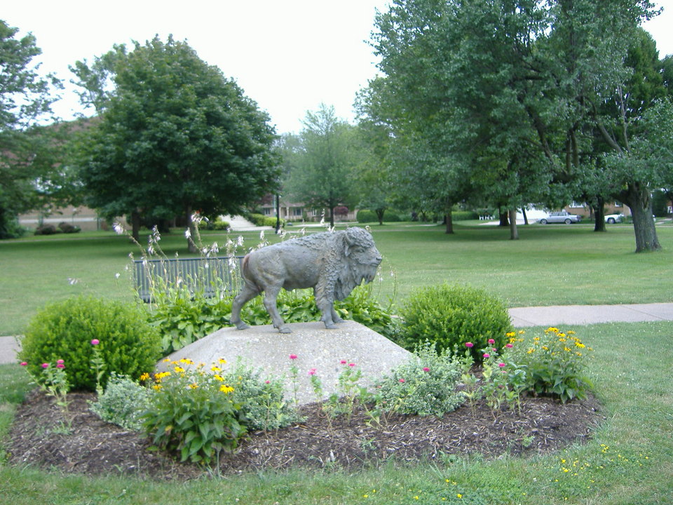 Buffalo, NY: Buffalo Statue Whitfield Avenue