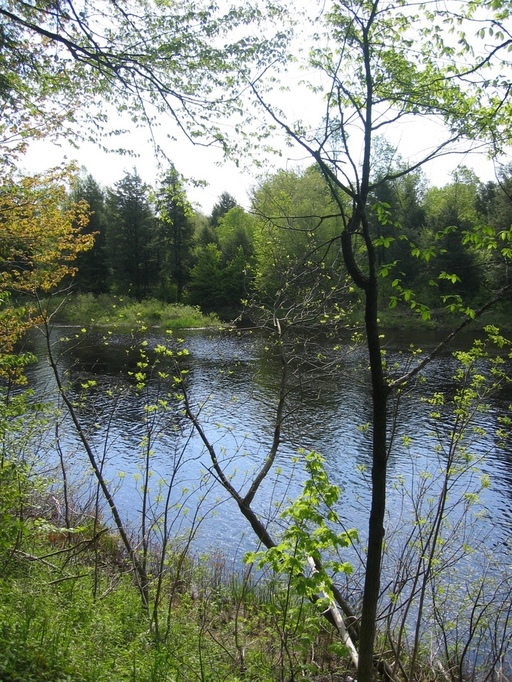 Harrisville, NY: Oswegatchie River in Harrisville, New York