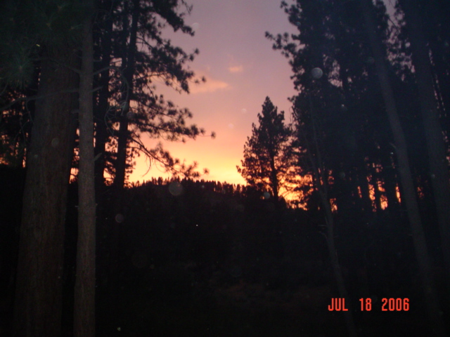 South Lake Tahoe, CA: Sunset in woods at S. Lake Tahoe