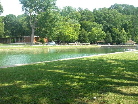 Cave Spring, GA: This is a picture of the cave springs pool. Its suppose to be the biggest pool in GA. plus its in the shape of GA.