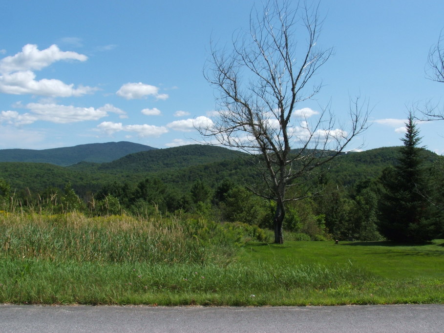 Mount Holly, VT: View from the Mount Holly Cemetery