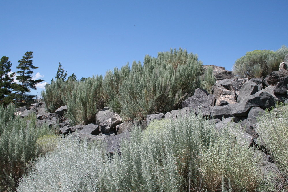 American Falls, ID a diffrent view photo, picture, image (Idaho) at