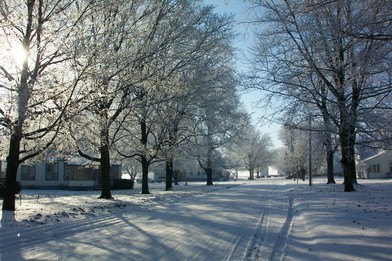 Broadlands, IL: Lincoln Street after the fog froze