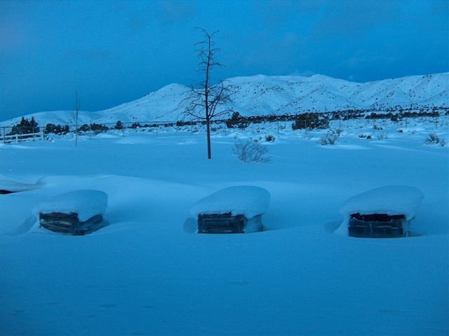 Spanish Springs, NV: The Big Snow