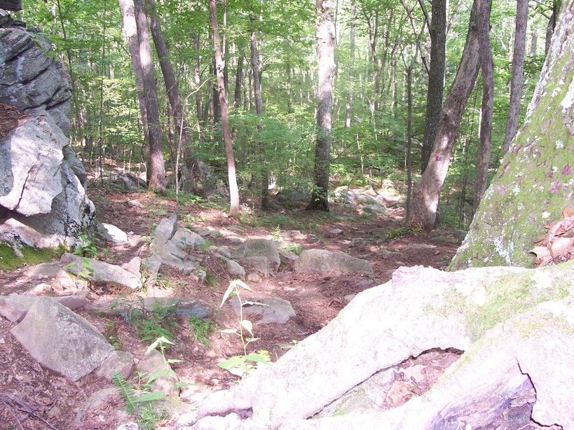 Pomfret, CT: A camping trail at Wolf Den state campground