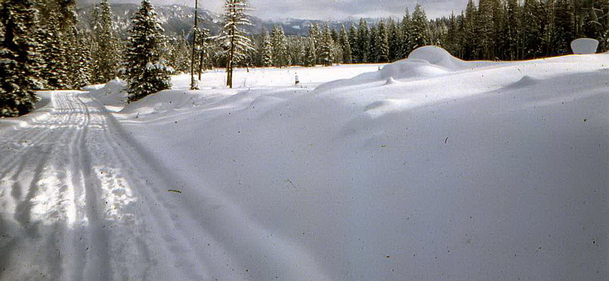 Big Sky, MT: X-country skiing-Lone Mountain Ranch/Big Sky,Mt 1981