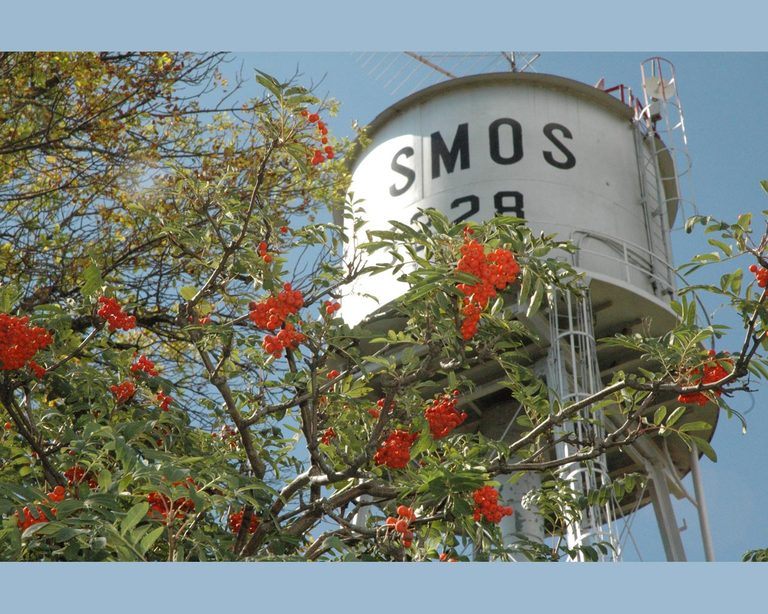 Cosmos, MN: Cosmos water tower, with orange berries.