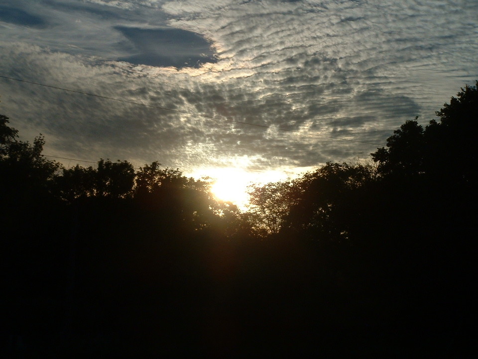 Glenwood, IA: The sun partiallly behind trees in Glenwood IA