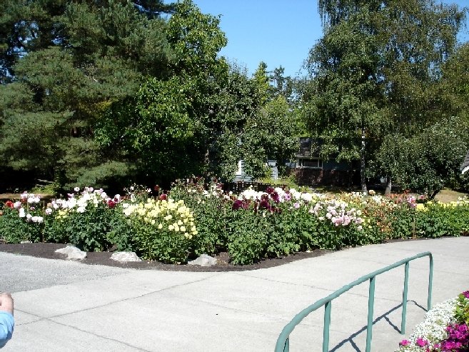 Bellevue, WA: Bellevue Botanical Garden, Bellevue, WA