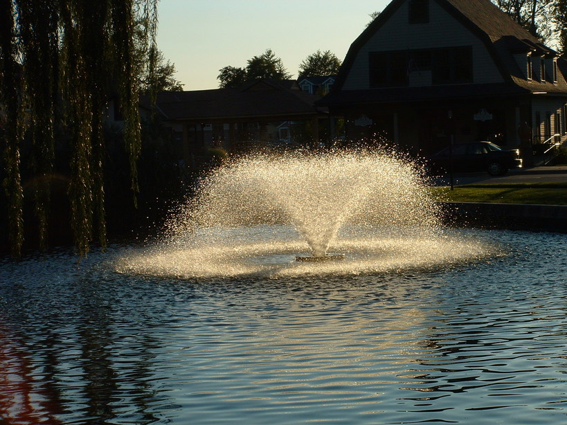 Winona Lake, IN Swan pond Winona Lake photo, picture, image (Indiana